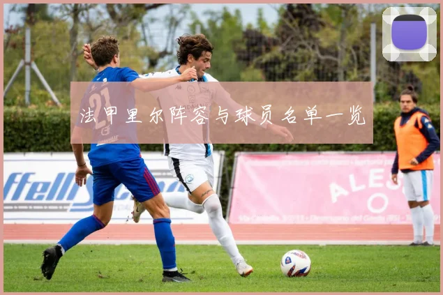 法甲里尔阵容与球员名单一览